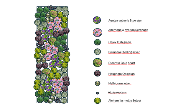 predzáhradka v tieni 